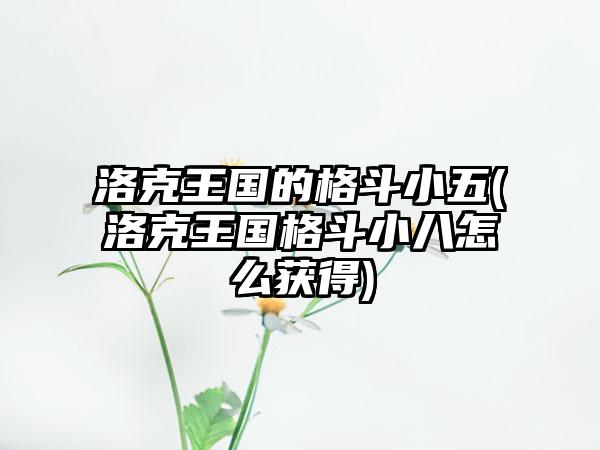 洛克王国的格斗小五(洛克王国格斗小八怎么获得)