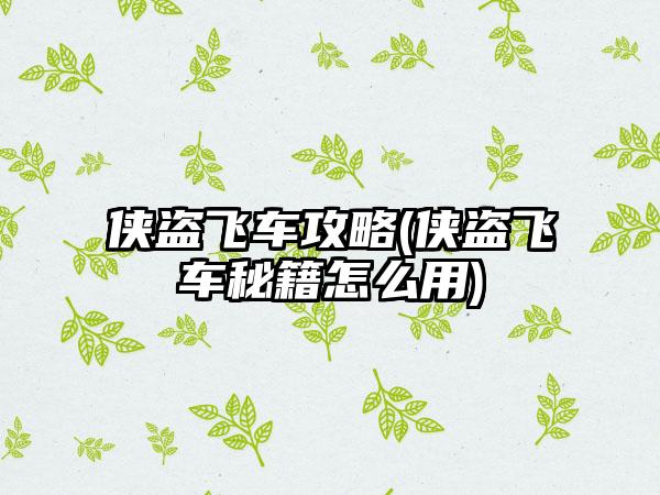 侠盗飞车攻略(侠盗飞车秘籍怎么用)