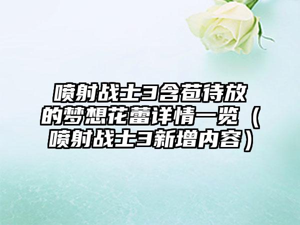 喷射战士3含苞待放的梦想花蕾详情一览（喷射战士3新增内容）