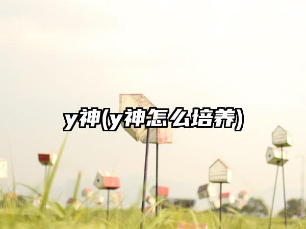 y神(y神怎么培养)