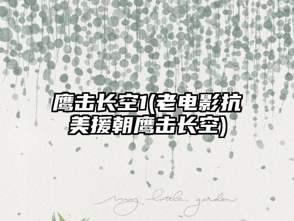 鹰击长空1(老电影抗美援朝鹰击长空)