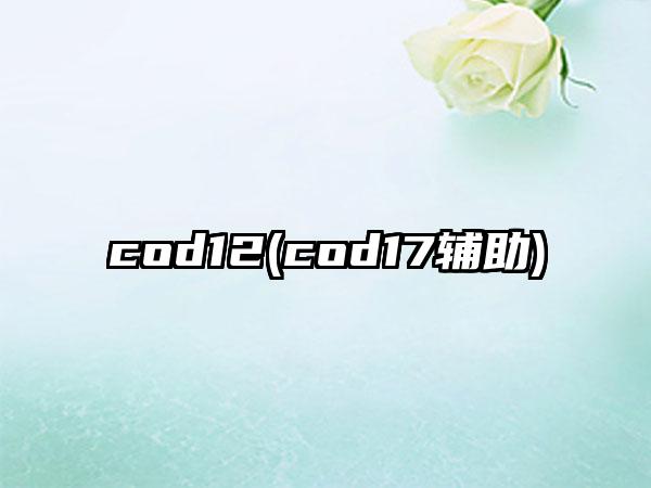 cod12(cod17辅助)