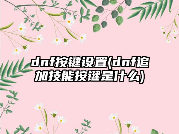 dnf按键设置(dnf追加技能按键是什么)