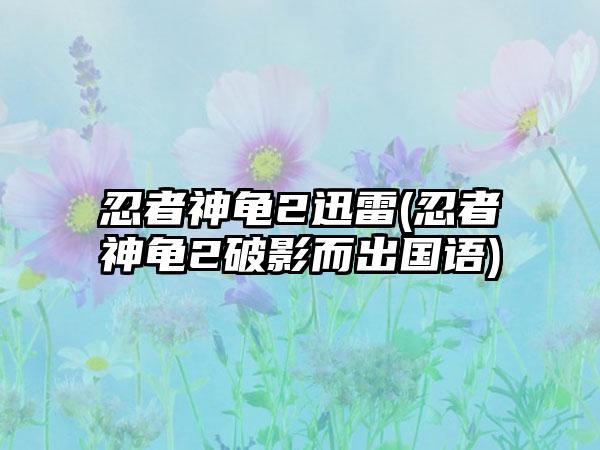 忍者神龟2迅雷(忍者神龟2破影而出国语)
