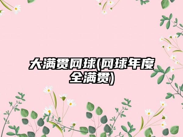 大满贯网球(网球年度全满贯)