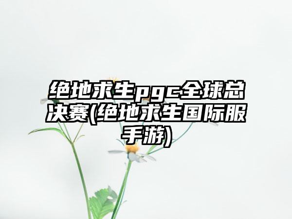 绝地求生pgc全球总决赛(绝地求生国际服手游)