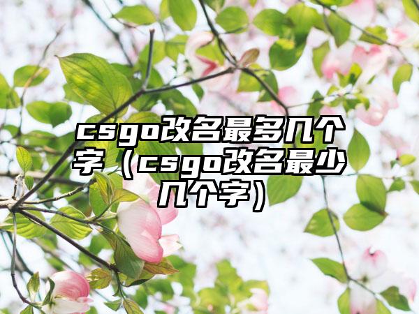 csgo改名最多几个字（csgo改名最少几个字）