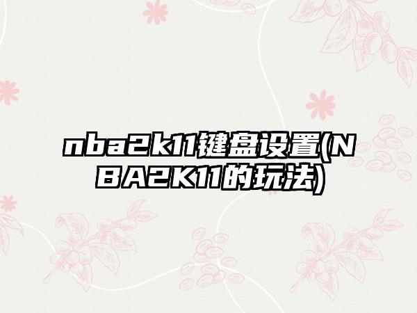 nba2k11键盘设置(NBA2K11的玩法)
