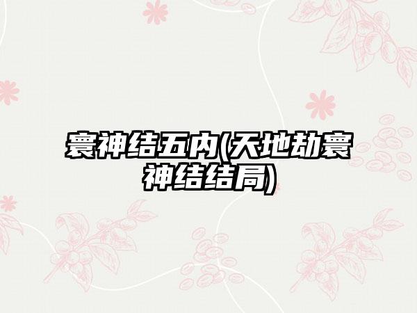 寰神结五内(天地劫寰神结结局)