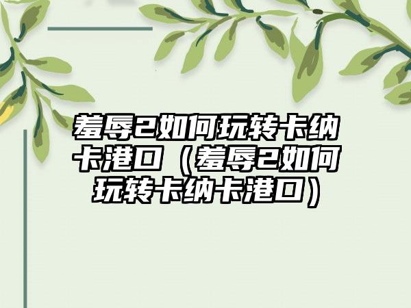 羞辱2如何玩转卡纳卡港口（羞辱2如何玩转卡纳卡港口）