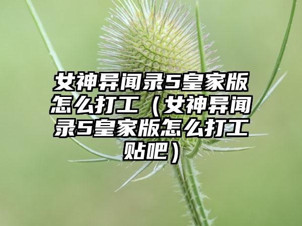 女神异闻录5皇家版怎么打工（女神异闻录5皇家版怎么打工贴吧）