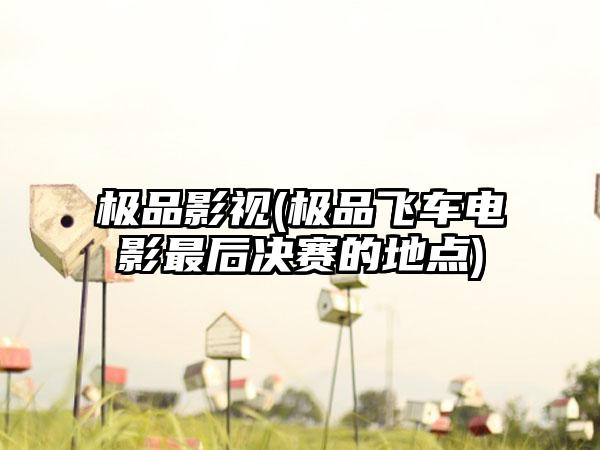 极品影视(极品飞车电影最后决赛的地点)