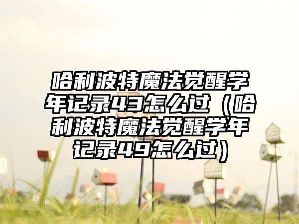 哈利波特魔法觉醒学年记录43怎么过（哈利波特魔法觉醒学年记录49怎么过）