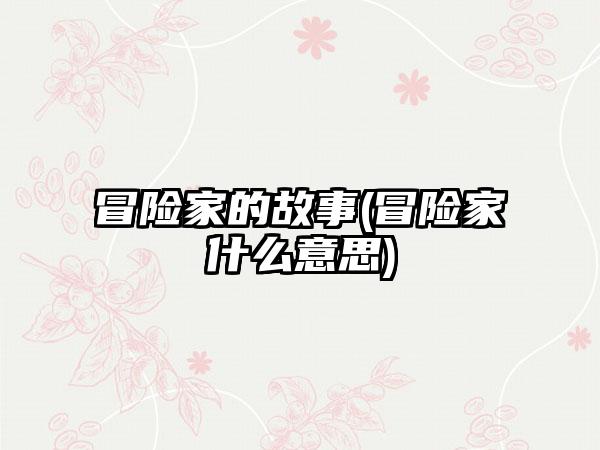 冒险家的故事(冒险家什么意思)