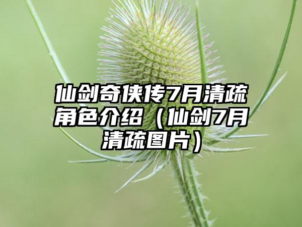 仙剑奇侠传7月清疏角色介绍（仙剑7月清疏图片）
