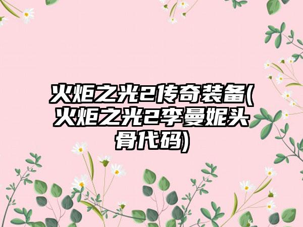 火炬之光2传奇装备(火炬之光2李曼妮头骨代码)