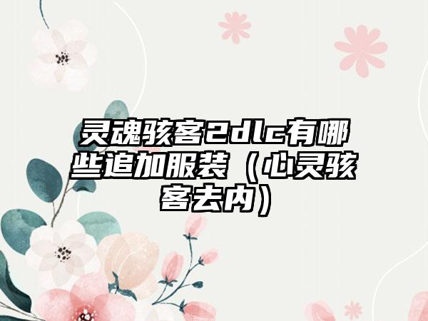 灵魂骇客2dlc有哪些追加服装（心灵骇客去内）