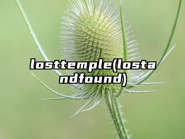 losttemple(lostandfound)