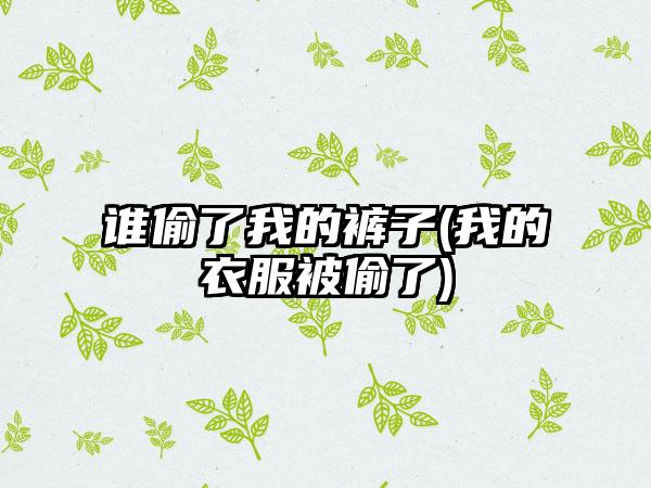 谁偷了我的裤子(我的衣服被偷了)