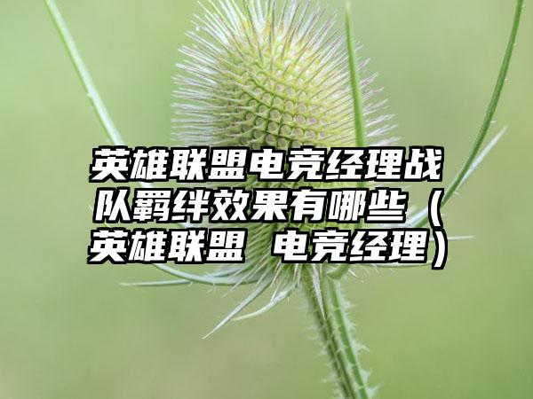 英雄联盟电竞经理战队羁绊效果有哪些（英雄联盟 电竞经理）