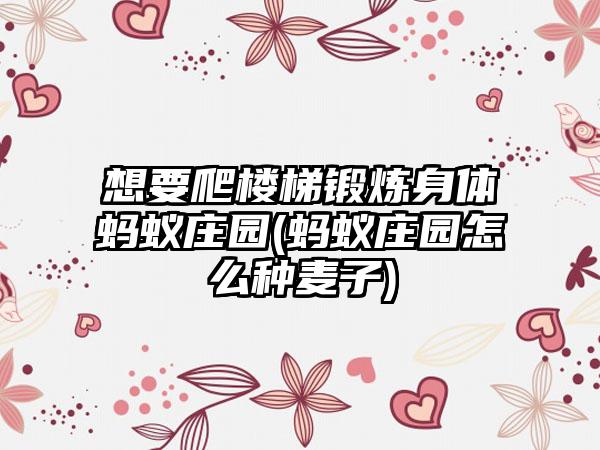 想要爬楼梯锻炼身体蚂蚁庄园(蚂蚁庄园怎么种麦子)