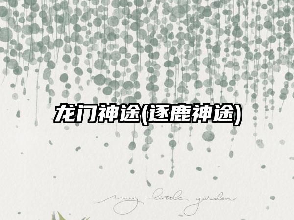 龙门神途(逐鹿神途)