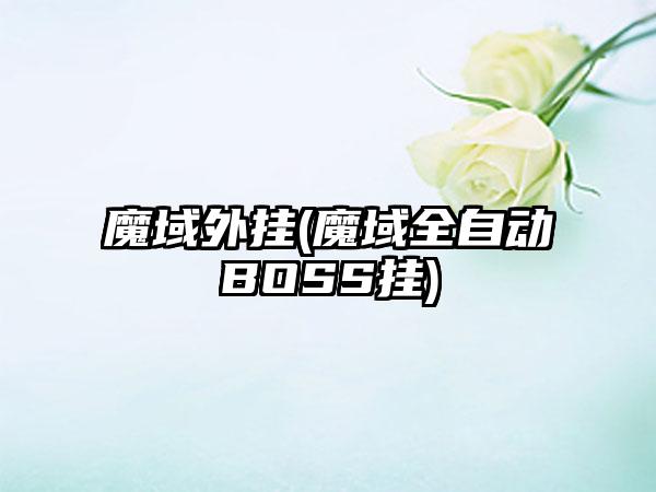 魔域外挂(魔域全自动BOSS挂)