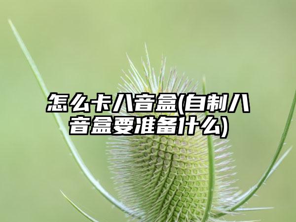 怎么卡八音盒(自制八音盒要准备什么)
