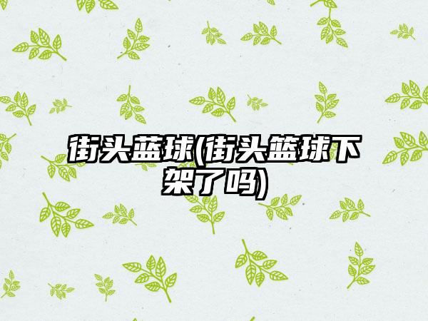 街头蓝球(街头篮球下架了吗)