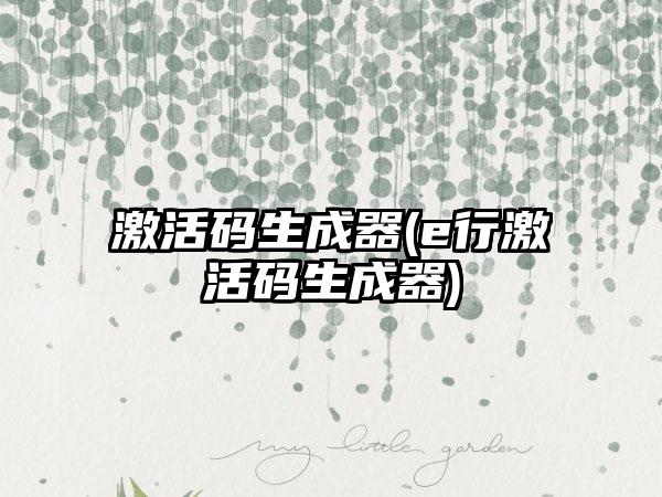 激活码生成器(e行激活码生成器)