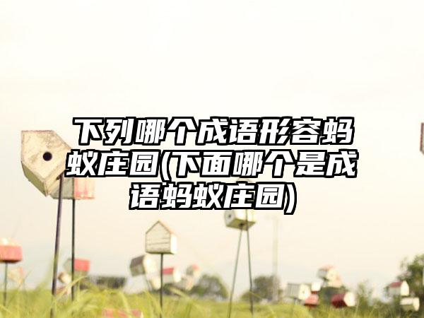 下列哪个成语形容蚂蚁庄园(下面哪个是成语蚂蚁庄园)