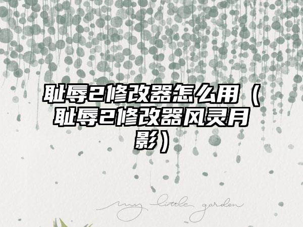 耻辱2修改器怎么用（耻辱2修改器风灵月影）