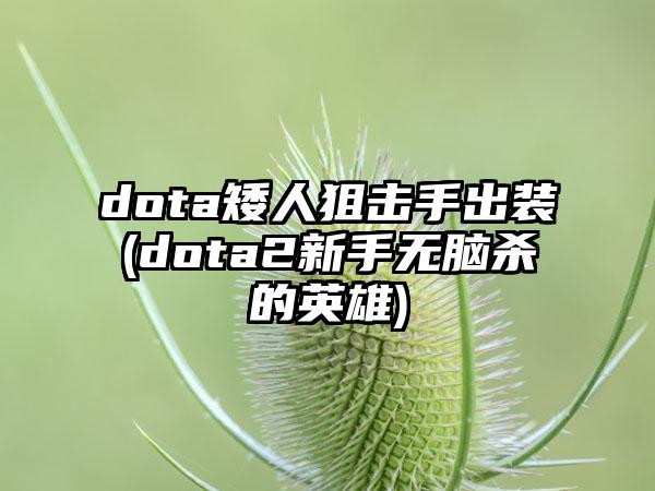 dota矮人狙击手出装(dota2新手无脑杀的英雄)