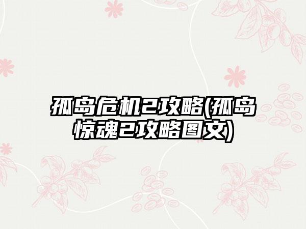 孤岛危机2攻略(孤岛惊魂2攻略图文)