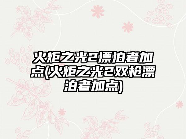 火炬之光2漂泊者加点(火炬之光2双枪漂泊者加点)