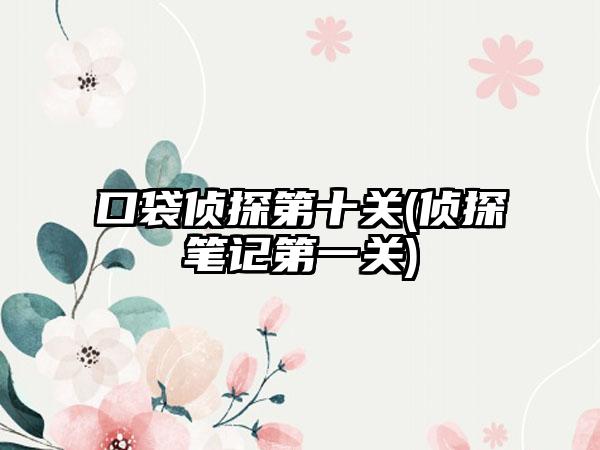 口袋侦探第十关(侦探笔记第一关)