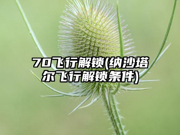 70飞行解锁(纳沙塔尔飞行解锁条件)