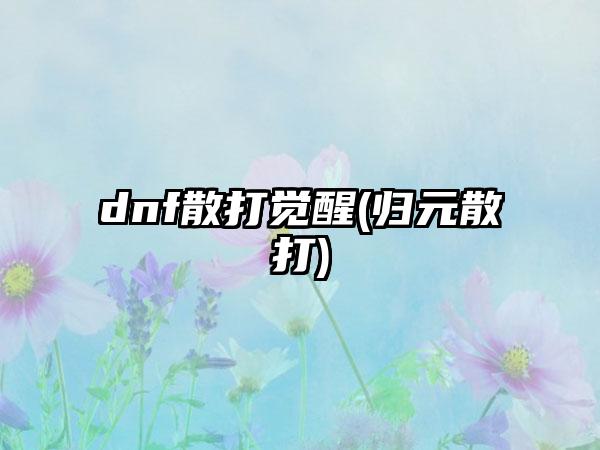 dnf散打觉醒(归元散打)