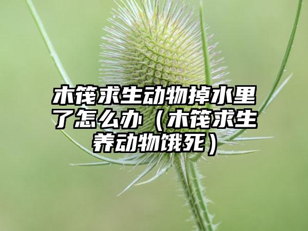 木筏求生动物掉水里了怎么办（木筏求生养动物饿死）