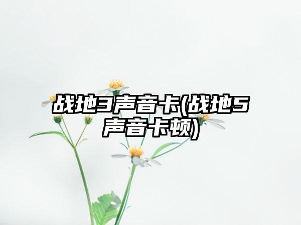 战地3声音卡(战地5声音卡顿)