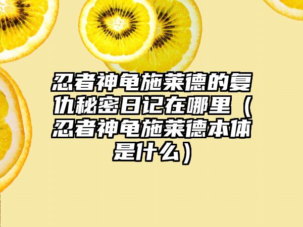 忍者神龟施莱德的复仇秘密日记在哪里（忍者神龟施莱德本体是什么）