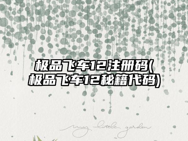 极品飞车12注册码(极品飞车12秘籍代码)