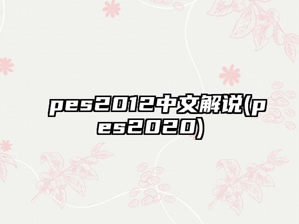 pes2012中文解说(pes2020)