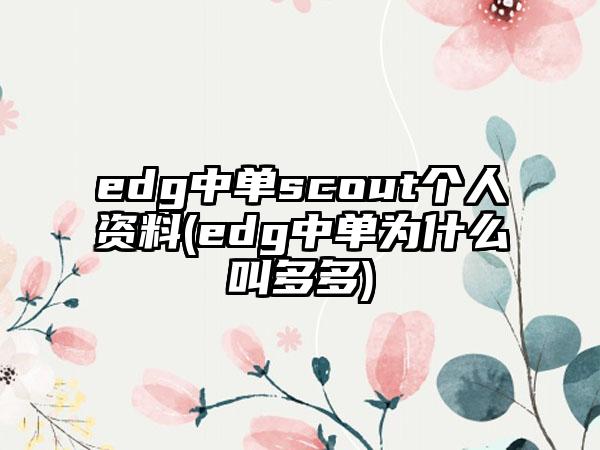 edg中单scout个人资料(edg中单为什么叫多多)