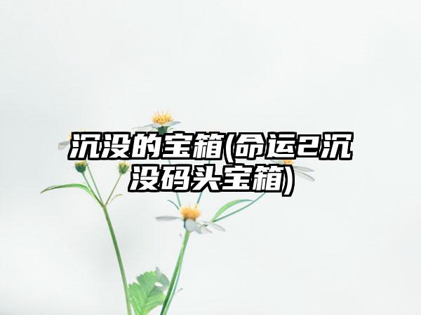 沉没的宝箱(命运2沉没码头宝箱)