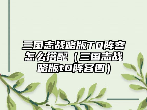 三国志战略版T0阵容怎么搭配（三国志战略版t0阵容图）
