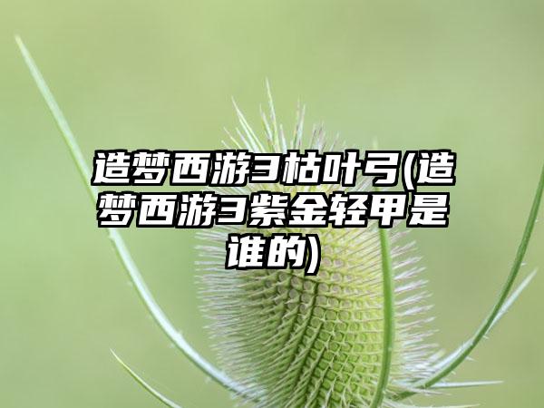 造梦西游3枯叶弓(造梦西游3紫金轻甲是谁的)