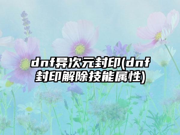 dnf异次元封印(dnf封印解除技能属性)