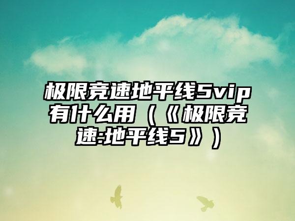 极限竞速地平线5vip有什么用（《极限竞速:地平线5》）