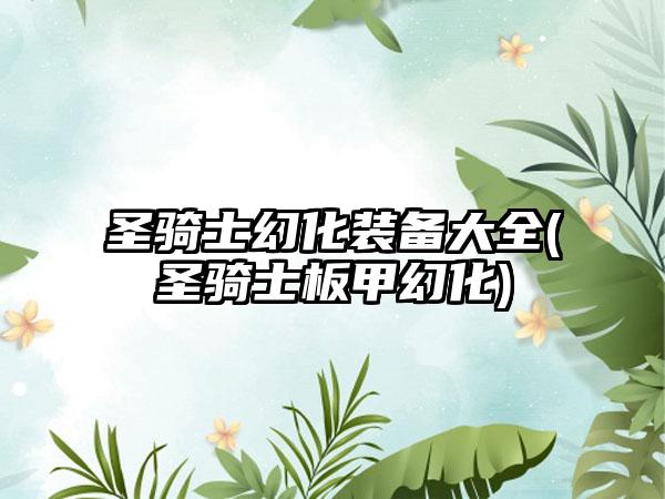 圣骑士幻化装备大全(圣骑士板甲幻化)